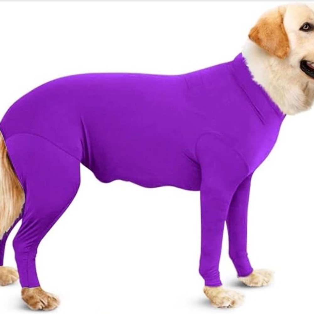 Red Dog Bodysuit